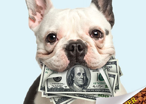 PetCareRx Flyer